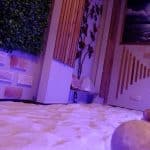 سم زدایی در کلینیک آذین