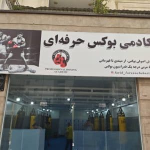 آکادمی بوکس حرفه ای