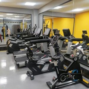 باشگاه ورزشی افق یک