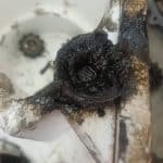 تعویض روغنی حسام