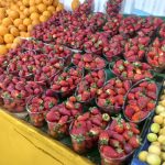 میوه و تره بار