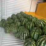 میوه و تره بار