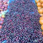 میوه و تره بار