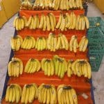 میوه و تره بار