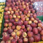 میوه و تره بار